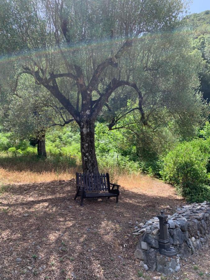 I Suoni Di Valle Martina Poderia Luaran gambar