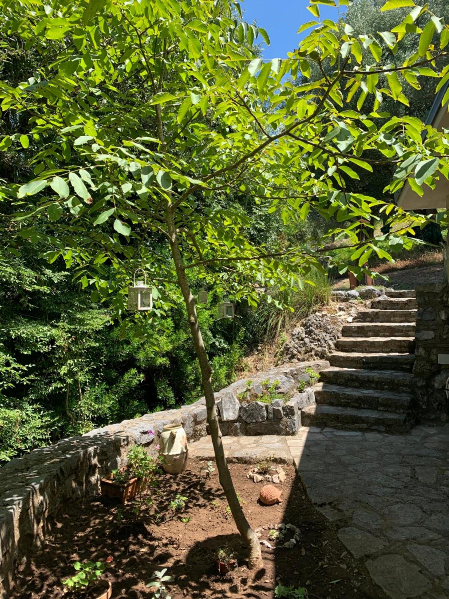I Suoni Di Valle Martina Poderia Luaran gambar