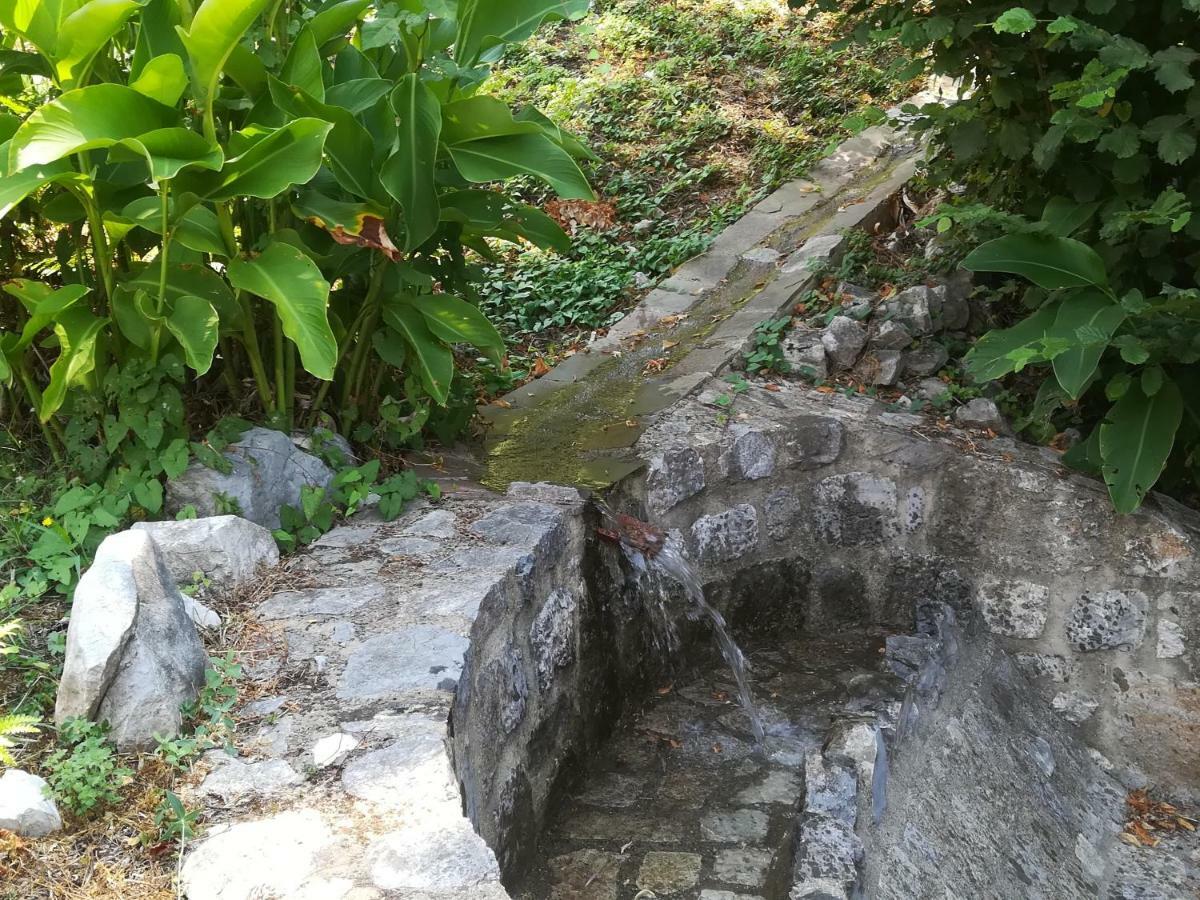 I Suoni Di Valle Martina Poderia Luaran gambar